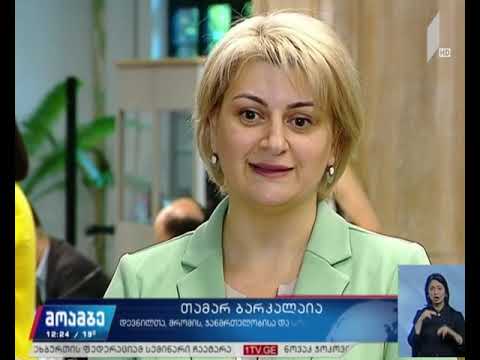 „მინიმალური ხელფასი - საერთაშორისო გამოცდილება და ქართული პრაქტიკა“